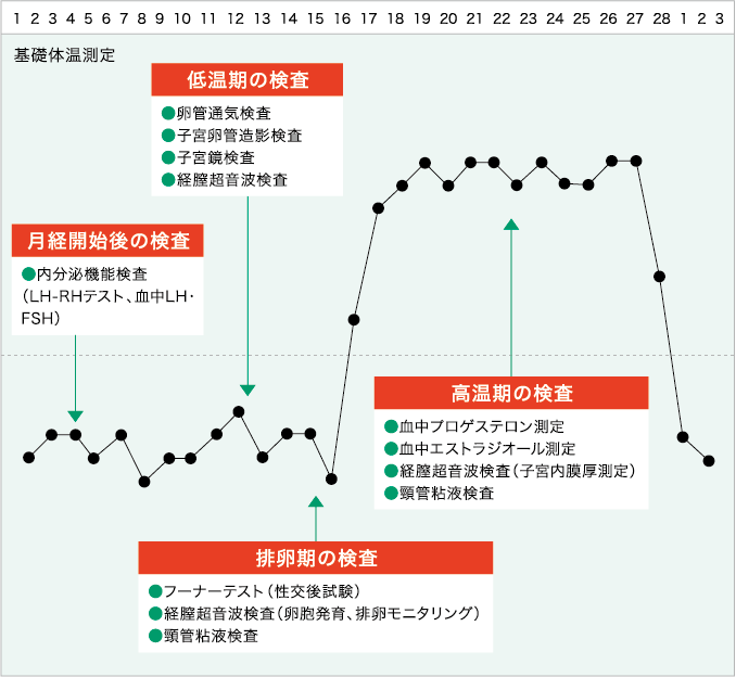 値 fsh 基準